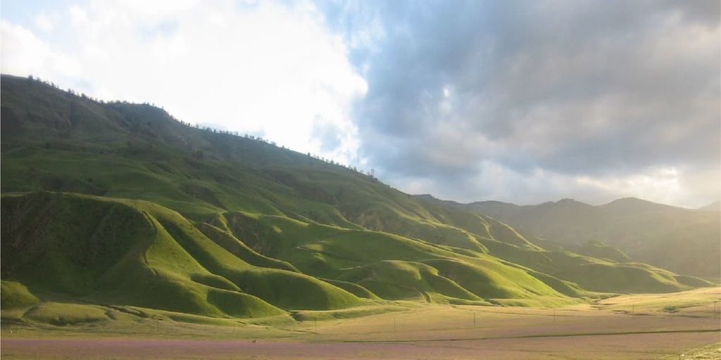 Rolling Hills landscape with houses for sale signs