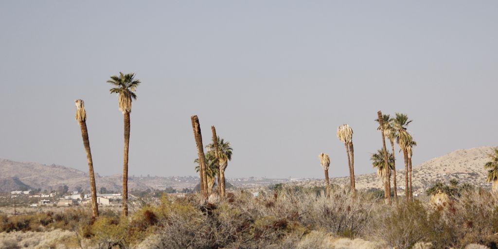 house for sale in Twentynine Palms