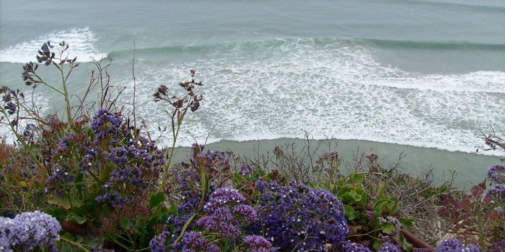 house in Encinitas