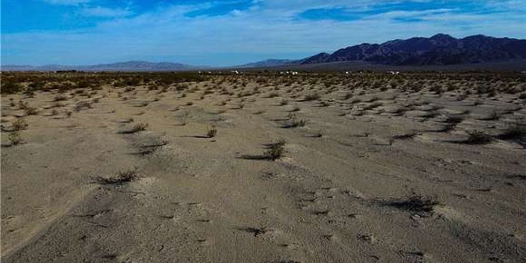 house in Twentynine Palms